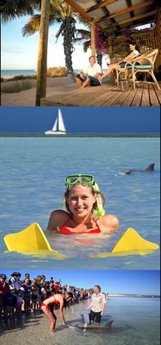  Accommodation Sunshine Coast