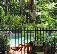 Daintree Rainforest Retreat Motel - Accommodation Sunshine Coast