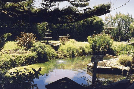 Bayside Gardens - Accommodation Sunshine Coast 0
