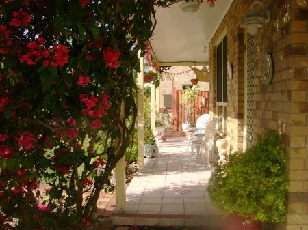 Angels Beach Lodge - Accommodation Sunshine Coast 2