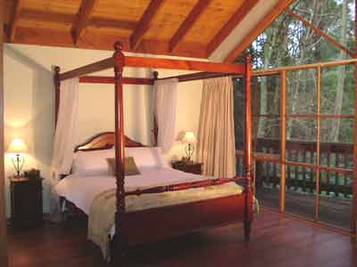 Belle Le Vie (Luxury B&B) - Accommodation Sunshine Coast 2