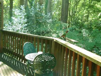 Belle Le Vie (Luxury B&B) - Accommodation Sunshine Coast 4