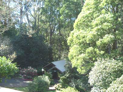 Belle Le Vie (Luxury B&B) - Accommodation Sunshine Coast 5