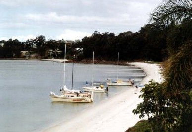 The Mitchells Waterfront B & B - Accommodation Sunshine Coast 2