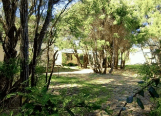 Peaceful Bay Chalets - Accommodation Sunshine Coast 4