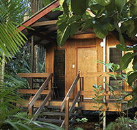 Cape Trib Beach House - Accommodation Sunshine Coast
