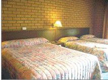 Bega Village Motor Inn - Accommodation Sunshine Coast 3