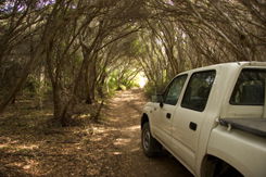 Nampara Cabins - Accommodation Sunshine Coast 1