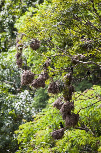 Lake Placid Tourist Park - Accommodation Sunshine Coast 4