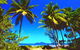 Mission Beach Rainforest Motel - thumb 1