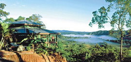 Daintree Cloud 9 - Accommodation Sunshine Coast 1