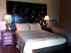 Daintree Manor - Accommodation Sunshine Coast 0