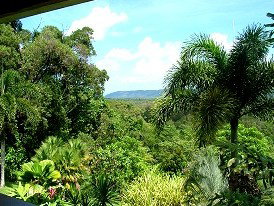 Daintree Manor - Accommodation Sunshine Coast 3