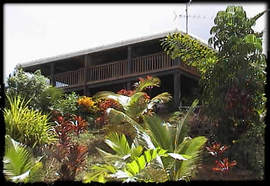 Daintree Manor - Accommodation Sunshine Coast 5
