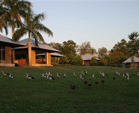 Jingili NT Accommodation Sunshine Coast