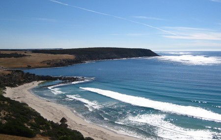 Waves And Wildlife - Accommodation Sunshine Coast 2