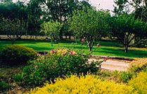 Naracoorte Cottages - Pinkerton Hill - Accommodation Sunshine Coast 2