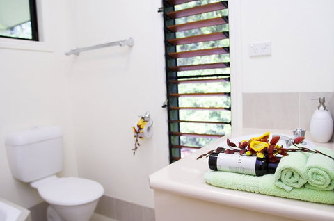 Misty Mountains Tropical Rainforest Romantic Retreat - Accommodation Sunshine Coast 5