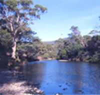 Douglas River Cabin - Accommodation Sunshine Coast