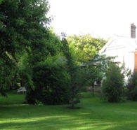 Oakdene Heritage Accommodation - Accommodation Sunshine Coast