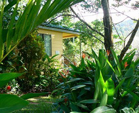 Daintree Valley Haven - Accommodation Sunshine Coast 0