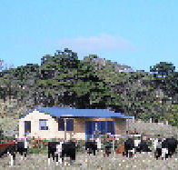 Marrawah Beach House - Accommodation Sunshine Coast