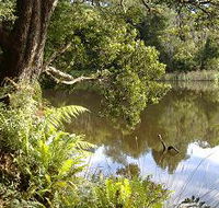 Weldborough Camping Ground - Accommodation Sunshine Coast