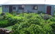 Engadine Cottage - thumb 0