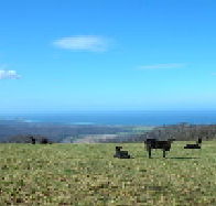 St Marys Seaview Farm - Accommodation Sunshine Coast