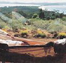 Morella Island Retreats P/L - Accommodation Sunshine Coast