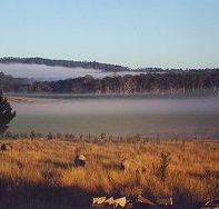 Fonthill - Accommodation Sunshine Coast