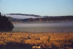 Fonthill - Accommodation Sunshine Coast 0