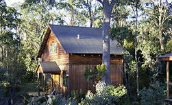 Cradle Mountain Highlanders - Accommodation Sunshine Coast 1
