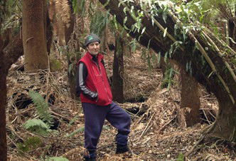 Forest Walks Lodge - Eco-Accommodation - Accommodation Sunshine Coast 3