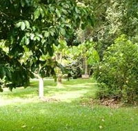 Kingfisher Park Birdwatchers Lodge - Accommodation Sunshine Coast