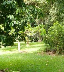 Kingfisher Park Birdwatchers Lodge - Accommodation Sunshine Coast 0
