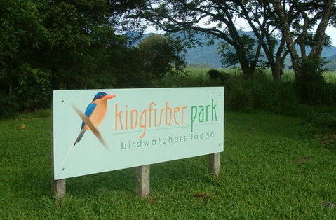 Kingfisher Park Birdwatchers Lodge - Accommodation Sunshine Coast 1
