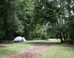 Kingfisher Park Birdwatchers Lodge - Accommodation Sunshine Coast 5