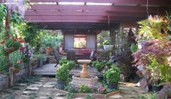 Kalaru NSW Accommodation Sunshine Coast