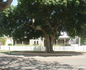 Annies Bed And Breakfast Grafton - Accommodation Sunshine Coast 3