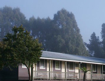 Bondi Forest Lodge - Accommodation Sunshine Coast 0