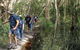 Bondi Forest Lodge - thumb 3
