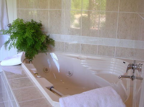 Mescals At Pampoolah Bed And Breakfast - Accommodation Sunshine Coast 1