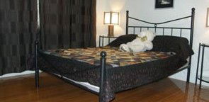 Artisans ...on The Hill Bed And Breakfast - Accommodation Sunshine Coast 2