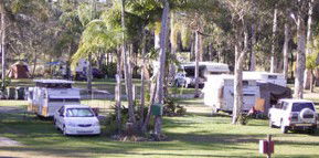 Brigadoon Holiday Park - Accommodation Sunshine Coast 2