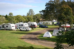 Dawson River Tourist Park - Accommodation Sunshine Coast 1