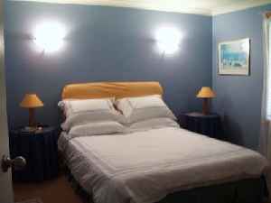 Pine Cottage - Accommodation Sunshine Coast 2