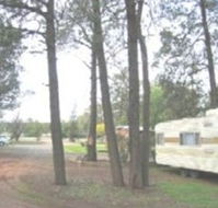 The Kelpie Caravan Park - Accommodation Sunshine Coast