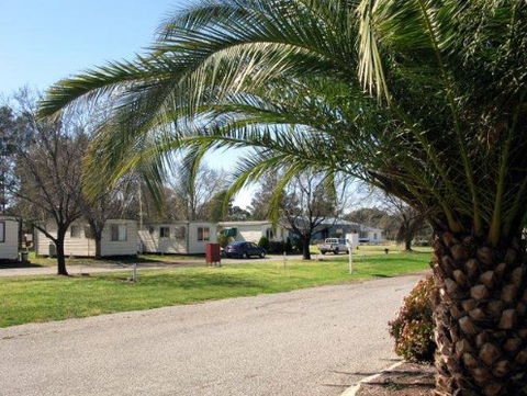 Leeton Caravan Park - Accommodation Sunshine Coast 1