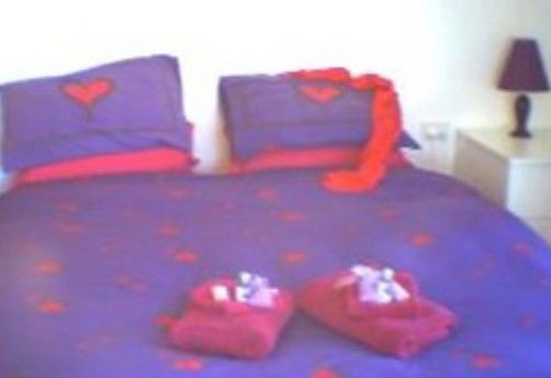 Liston NSW Accommodation Sunshine Coast